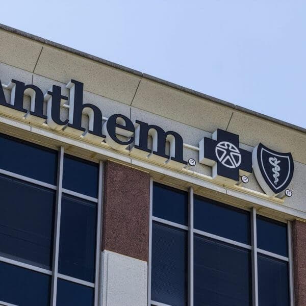 shutterstock_465035792-scaled-qflzgjf336sno321yh1zt9vw6wbr1mr30znt8ox4kw